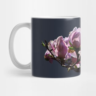 Magnolias Mug